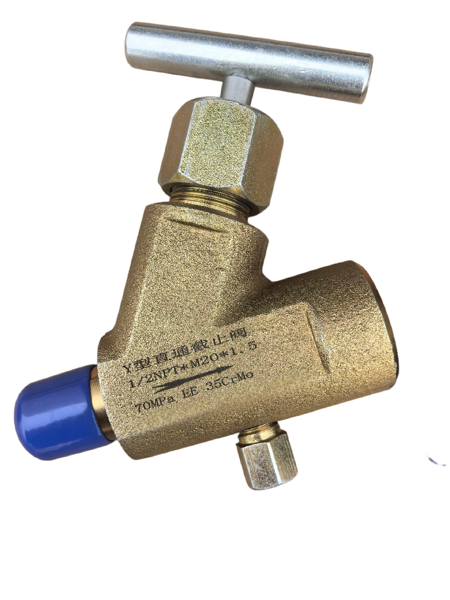 Y-type straight-through globe valve